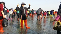 제38회 진도 신비의 바닷길 축제 27